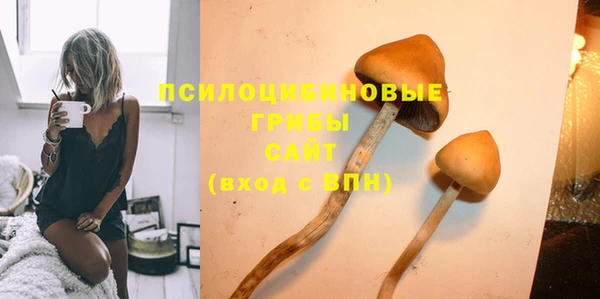 дурь Волосово